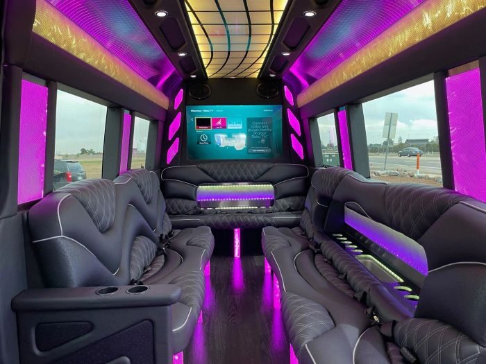 Sprinter limo lounge with TV – Fort Collins limo service
