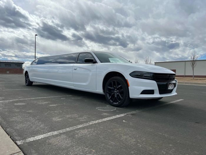 White stretch limo – Fort Collins limo service